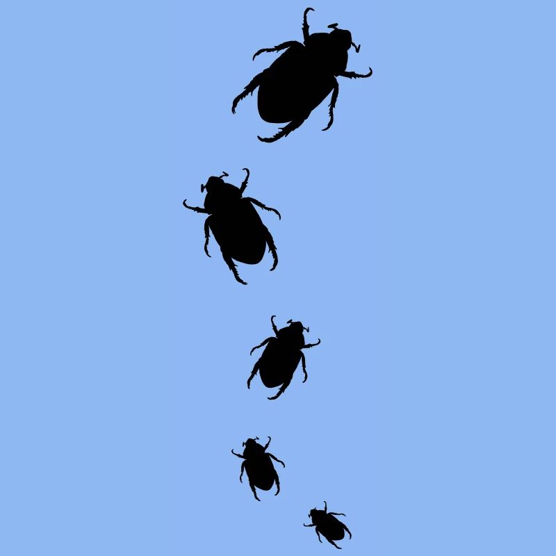 Bug Attack