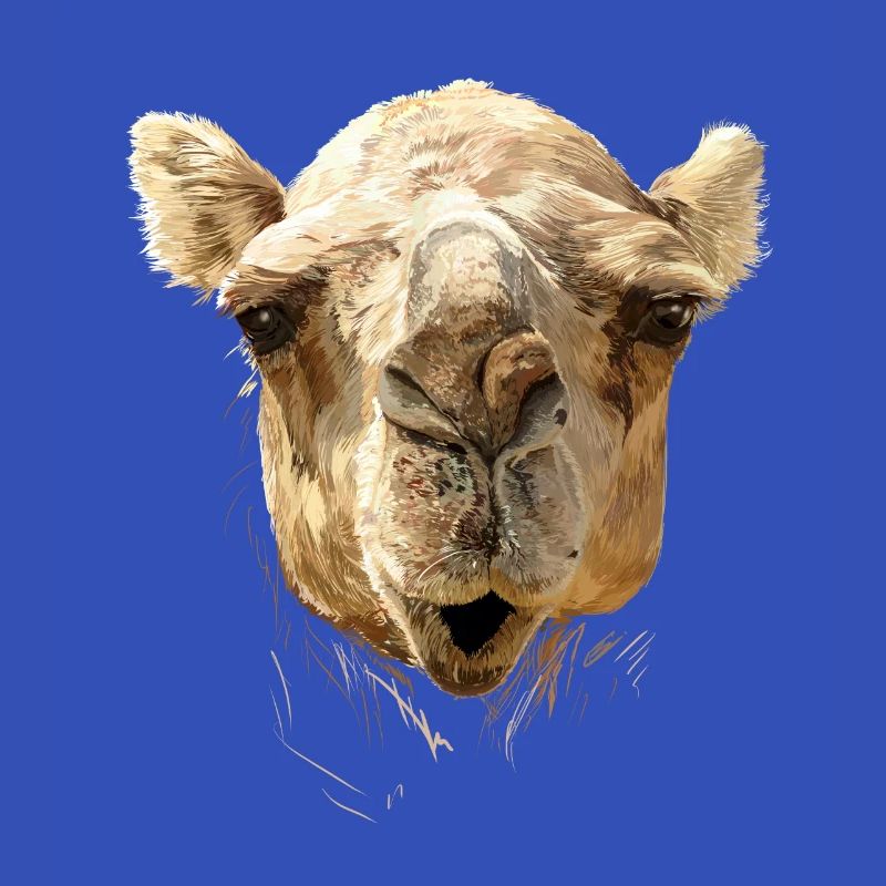 kamel