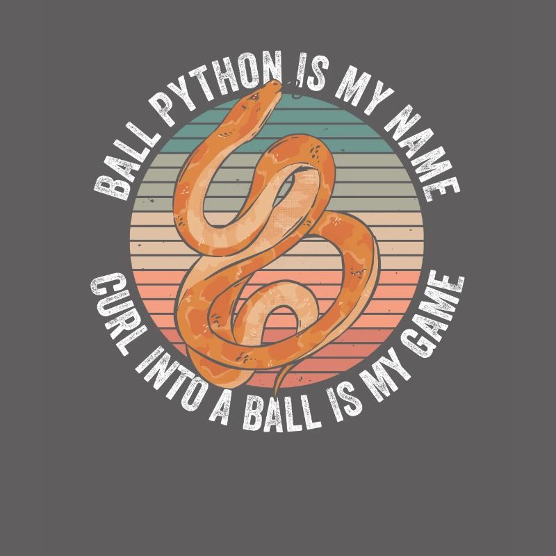 Königspython Bananenkugel Python