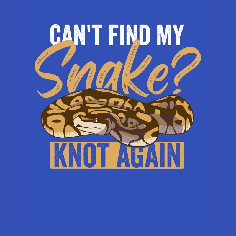 Königspython Ball Python