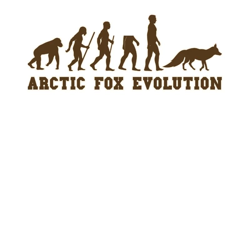 Arctic foxes white fox white foxes Arctic fox