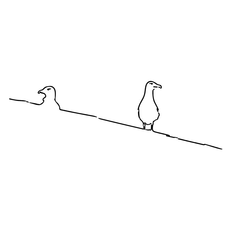 Mouettes Djupvik