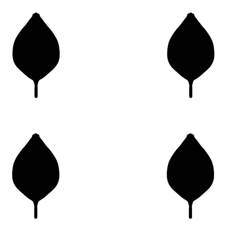 four leaves leaf nature pattern