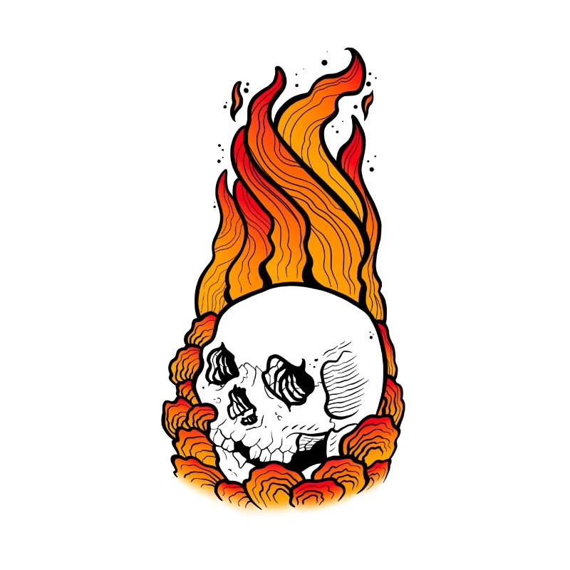 Skull skull on fire