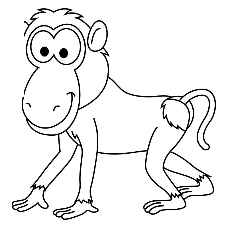 Monkey monkey comic