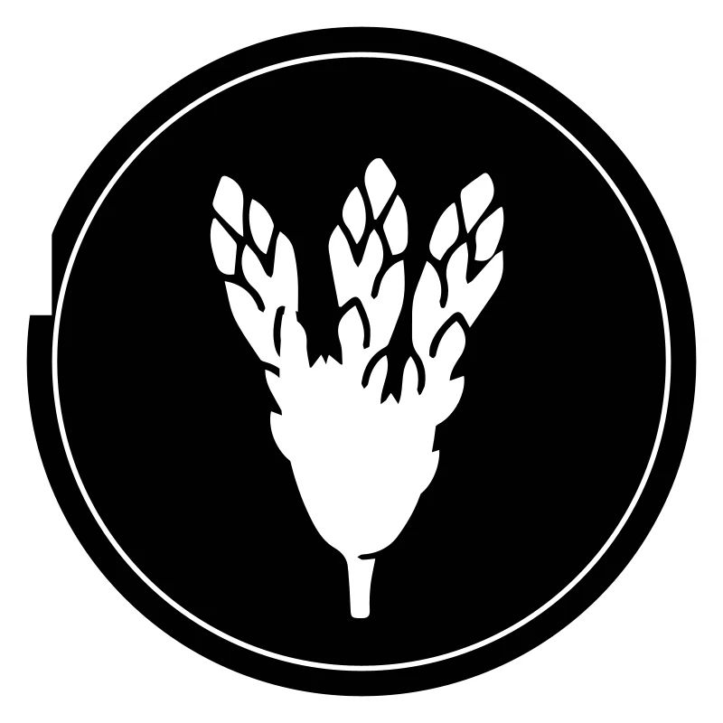 Asparagus Vegetables