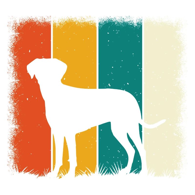 Labrador Retro