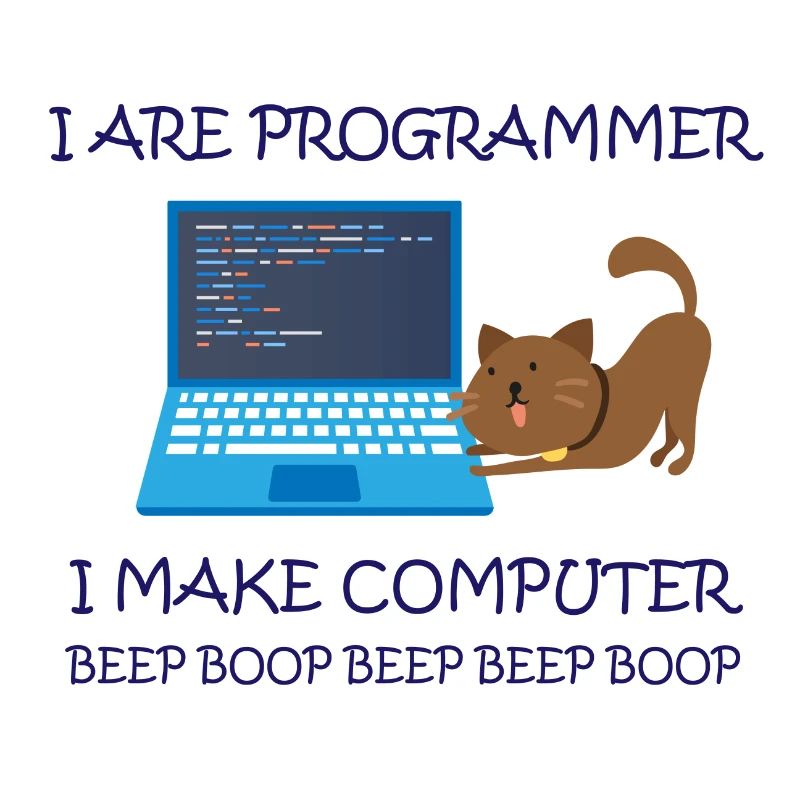I am Programmer i make Computer Informatiker