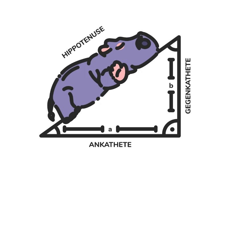 Mathématicien triangle hippothénuse
