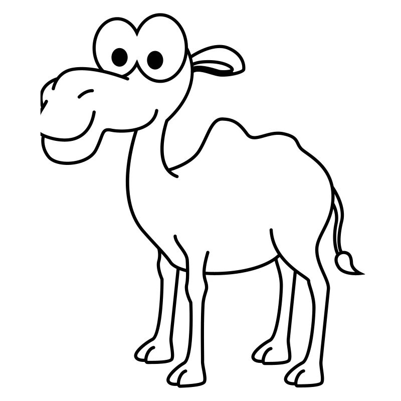 Kamel Comic