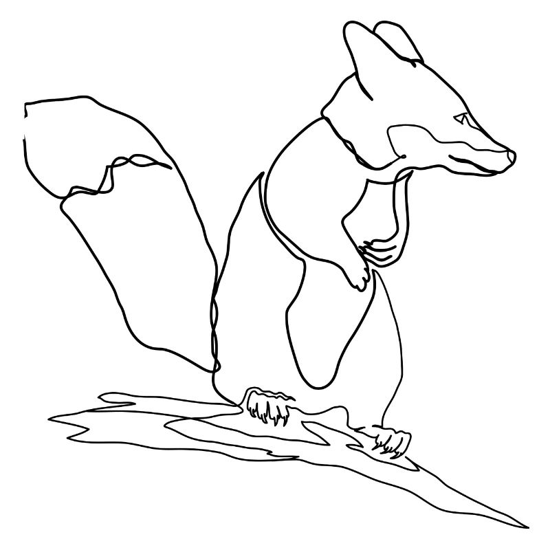 Fox Squirrel Squirrel Fox