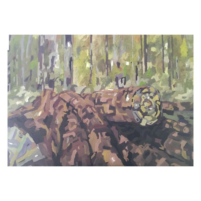 Logs in the forest – an impressionistic landscape