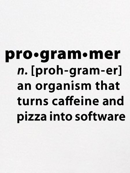 Programmer Wörterbuchdefinition