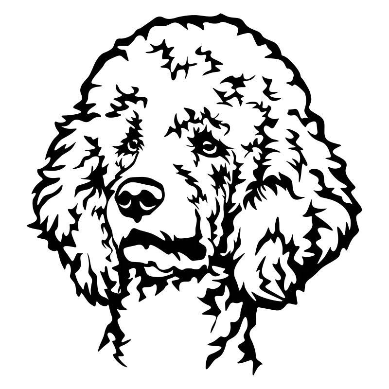 Poodle Head