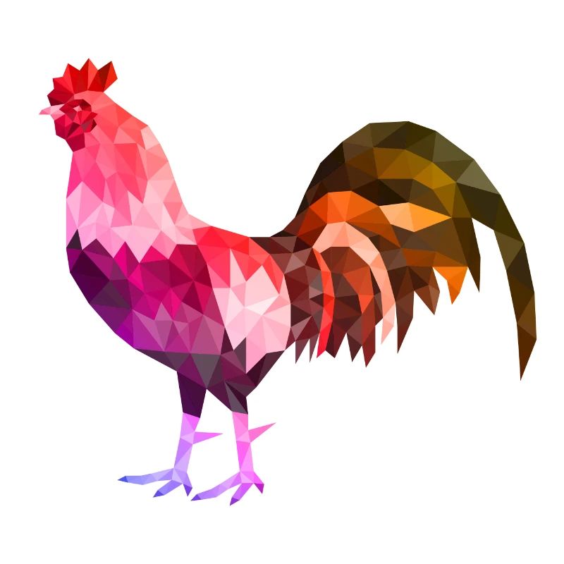 coq polygon coloré coq coq