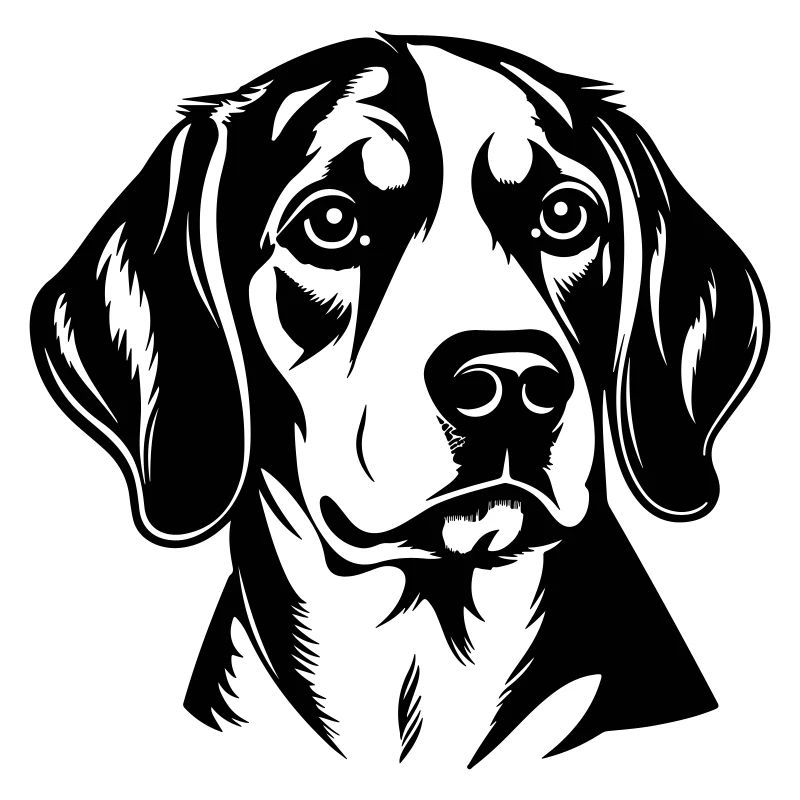 Beagle Dog Head