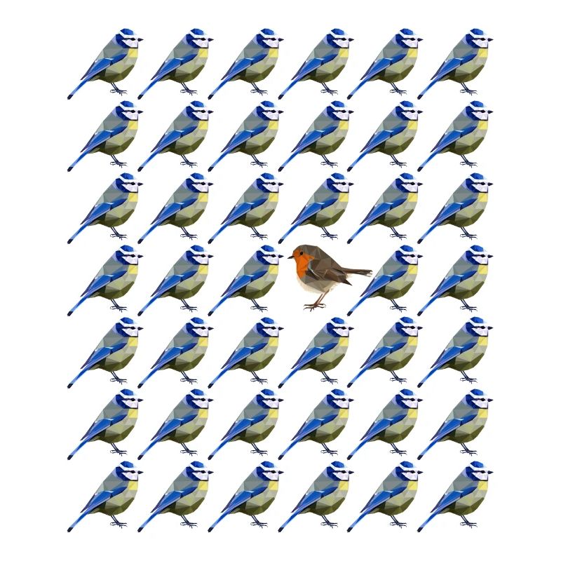 sei anders Blaumeise Rotkehlchen Vogel Muster