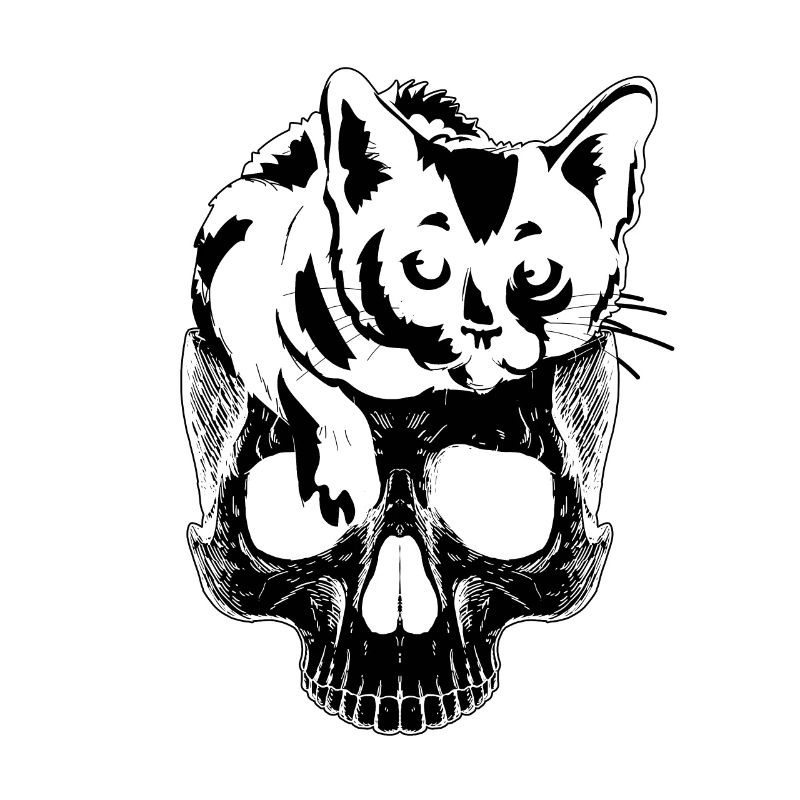 Chat Halloween Cat Lover Drôle De Chat Halloween Chat