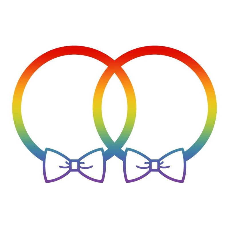 LGBT Eheringe Hochzeit JGA Paar Regenbogen Fliege