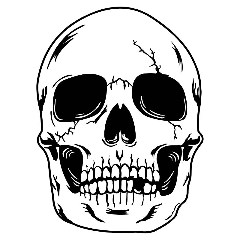 Schädelkopf des Skeletts