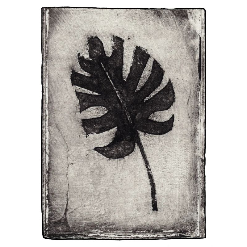 Plante de Monstera - Gravée à la main imprimable
