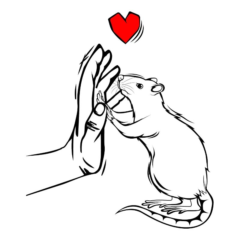 Rat