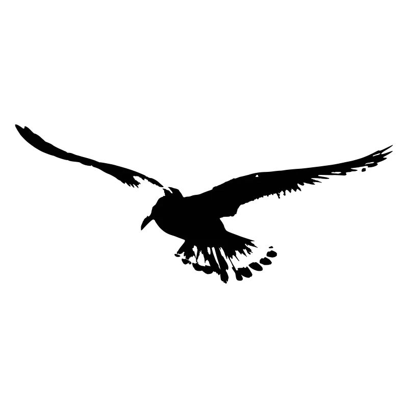 mouette
