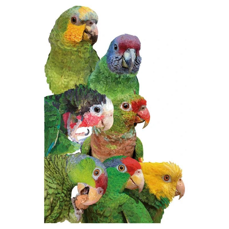 Amazonian parrots