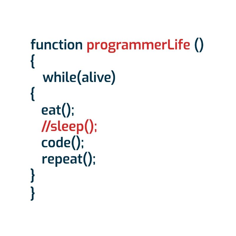 Programmeur informatique Codeurs Software Engineers Gift