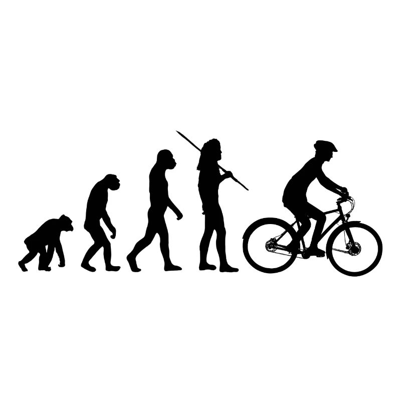 Evolution - bicycle