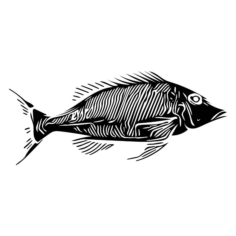 Vintage Fish HerringBone Bony Fish Skeleton