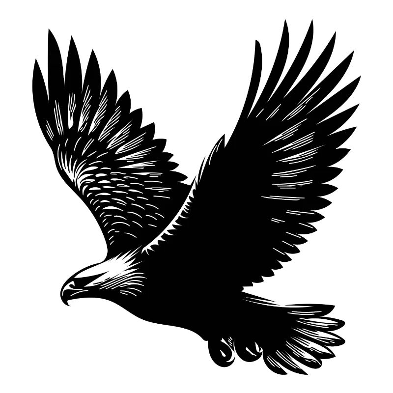 Elegant eagle on huge wings