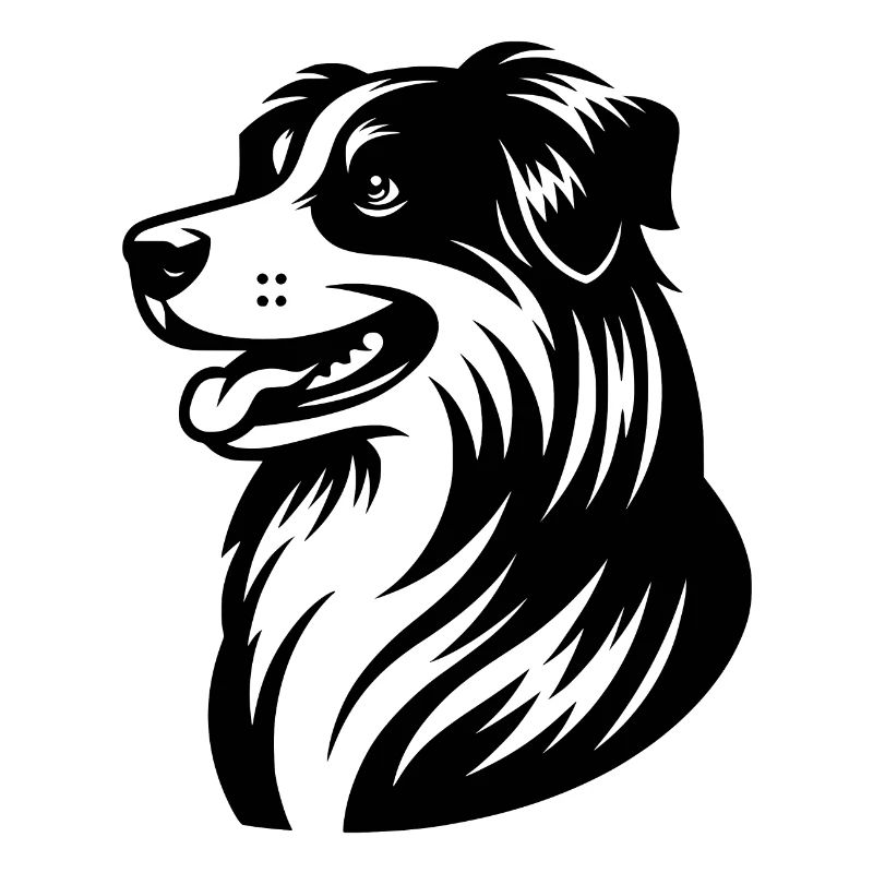 Knuffiger Australian Shepherd Hund Vierbeiner