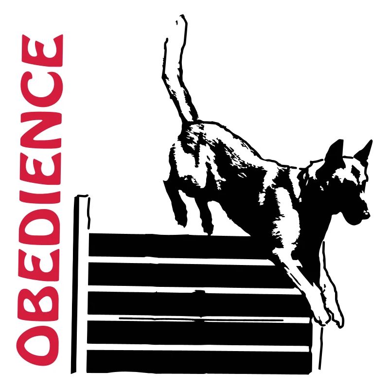 Obéissance au saut d'obstacles avec Malinois
