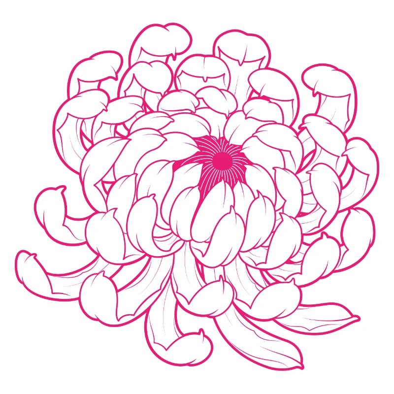 CHRYSANTHEMUM!!