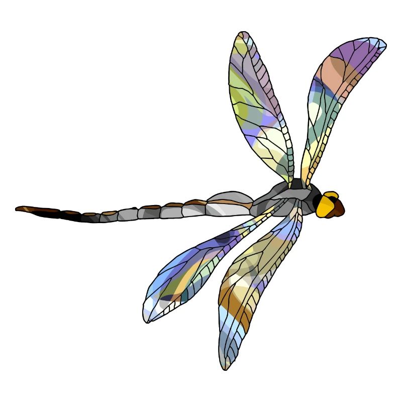 Libellule