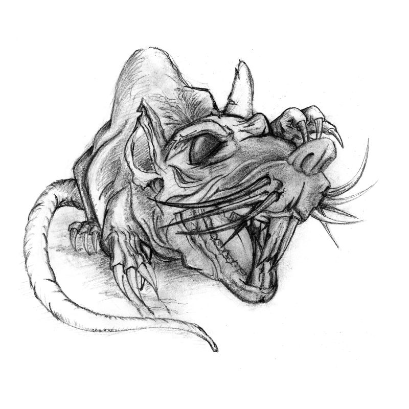 rat
