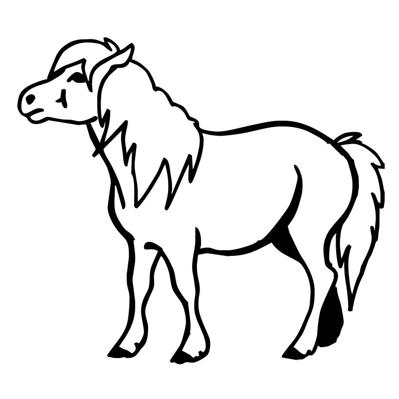 Pony Pferdchen
