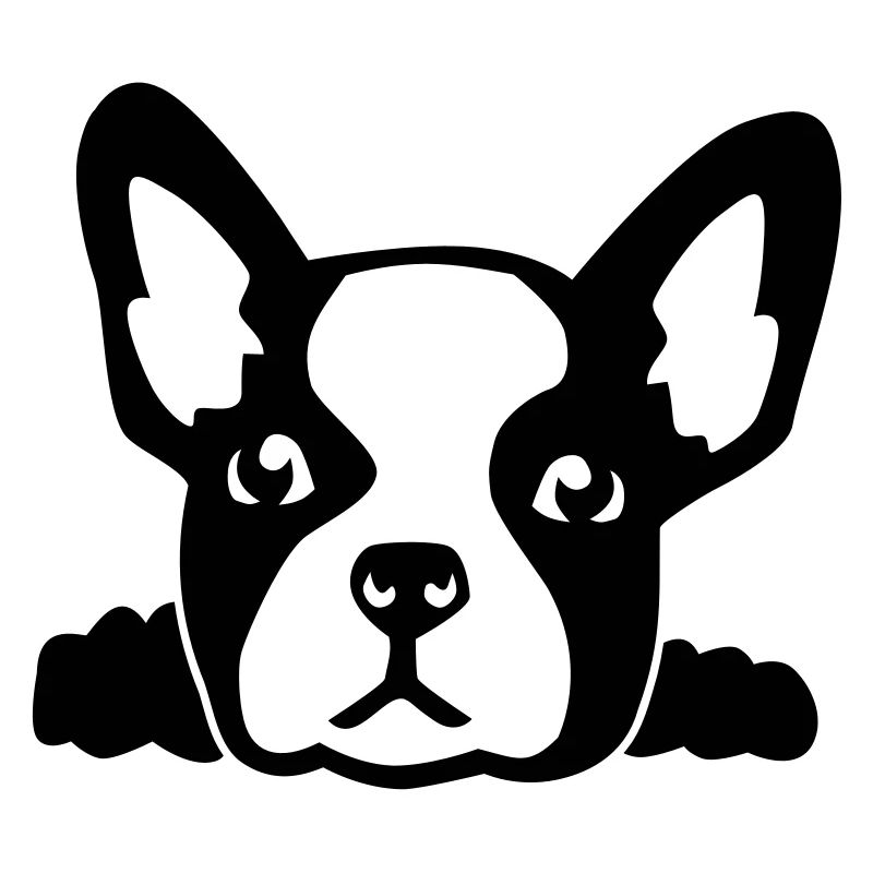 Bouledogue