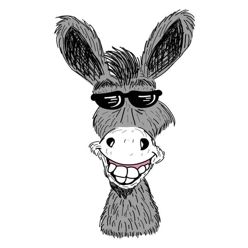 Lustiger Esel Mit Sonnenbrille Geschenkidee Pferde