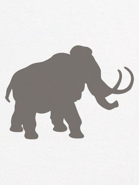Mammut