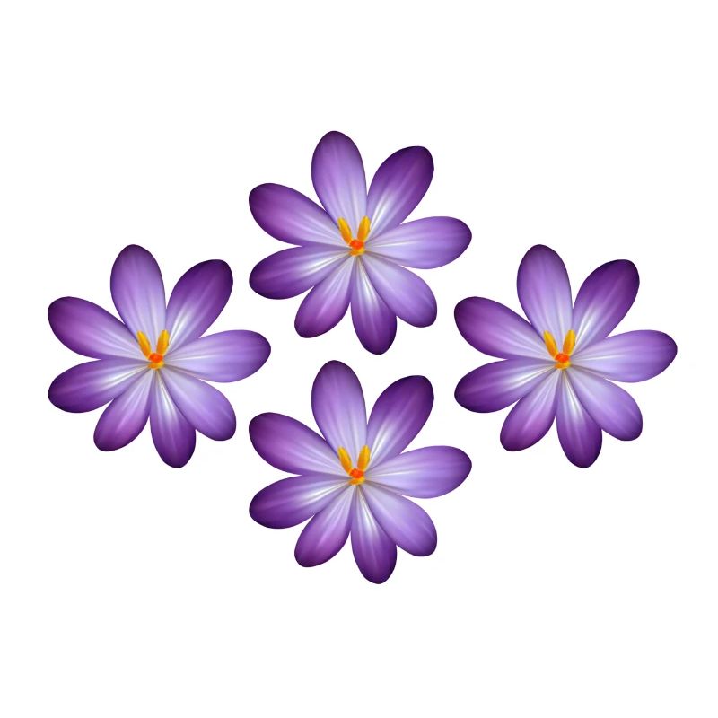 Fleurs, t-shirts de fleur, sweats à capuche de fleur, fleur