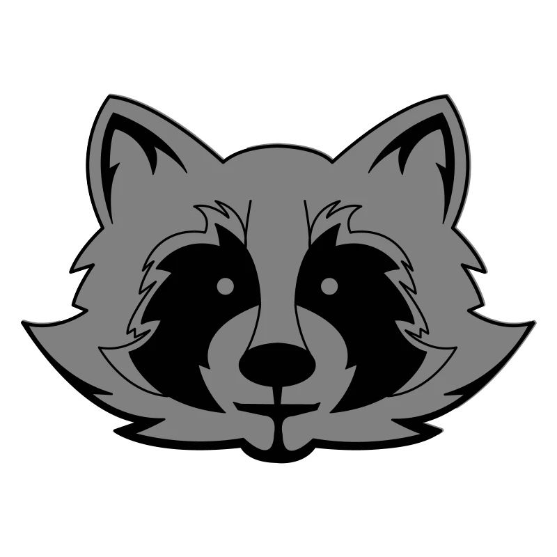 Raccoon Comic