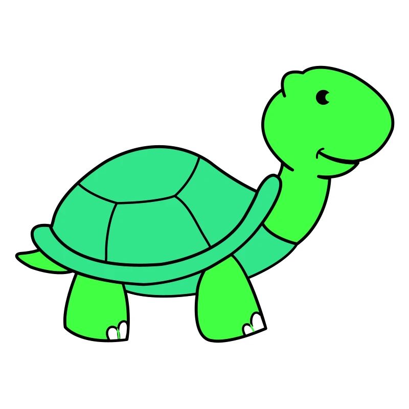 tortue