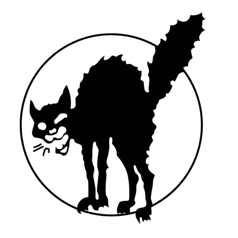 Anarchy Cat