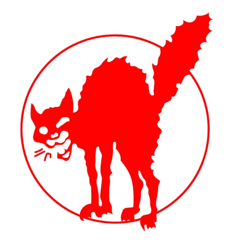 Anarchy Cat
