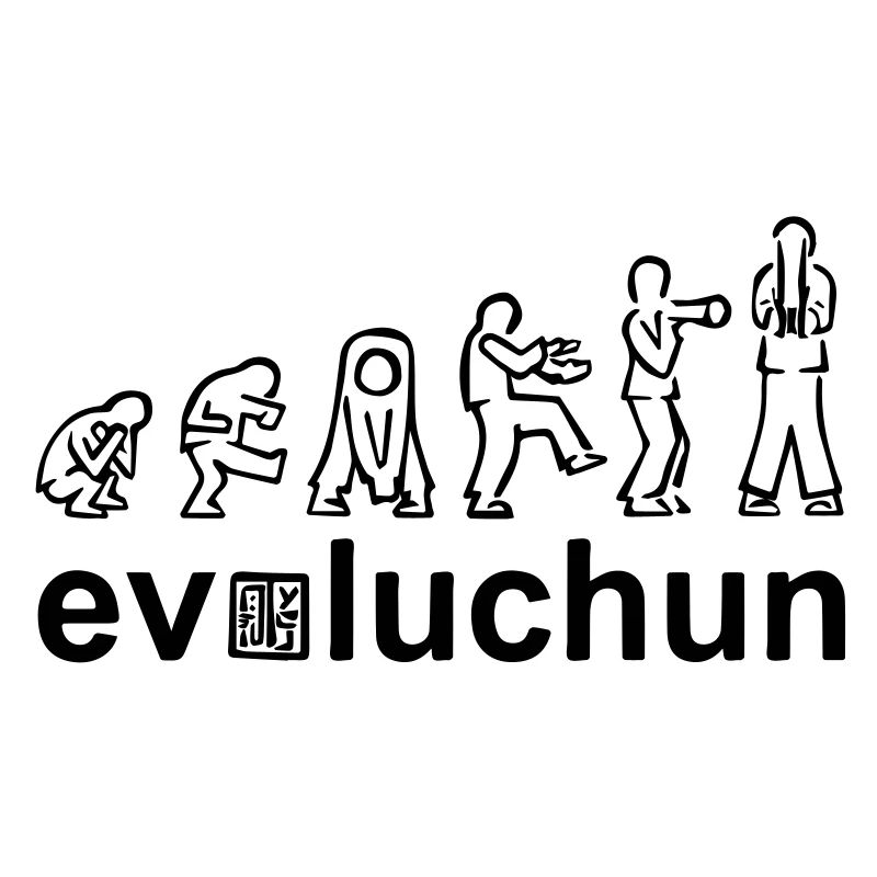 évolution des formes aile chun