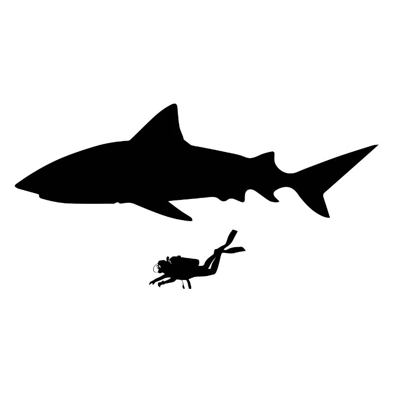 Diving Dive tauchen