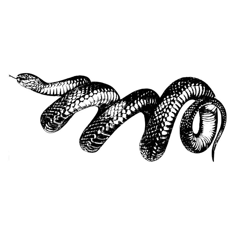 serpent
