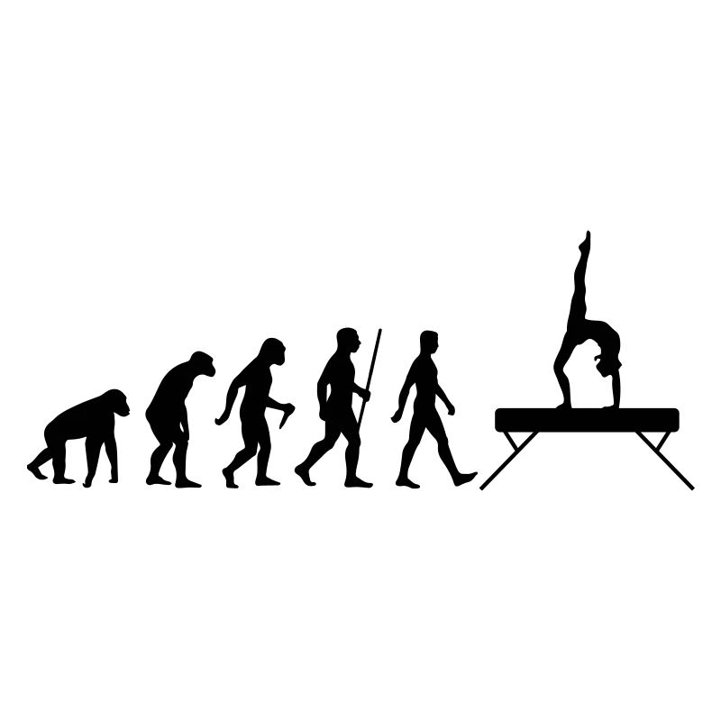 Evolution Schwebebalken